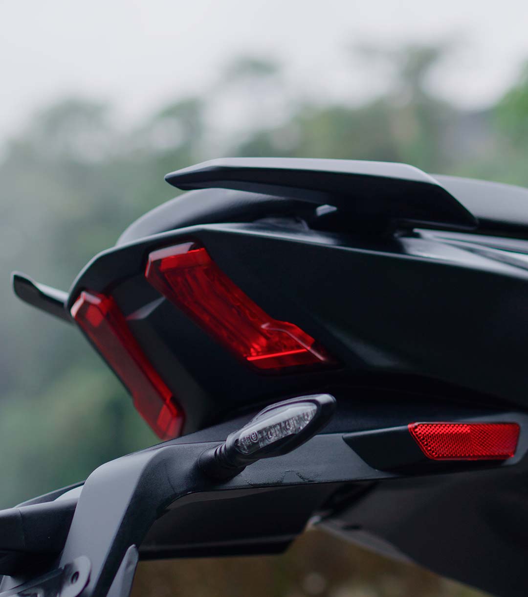 Detalles-dominar-250-2