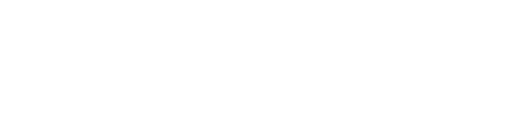 Pulsar 150 neon logo