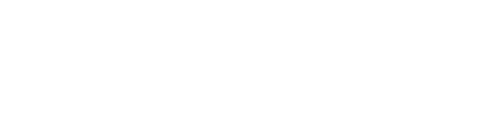 Pulsar 150 neon logo