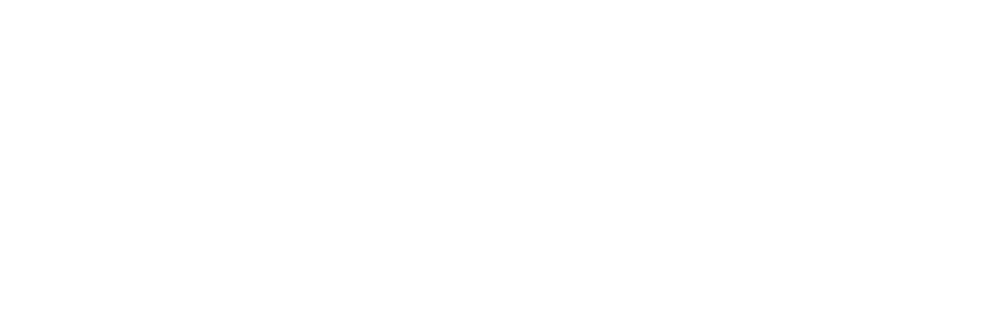 Pulsar 150 neon logo
