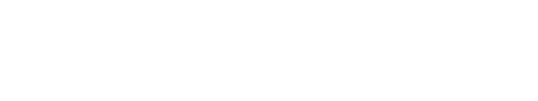Pulsar 150 neon logo