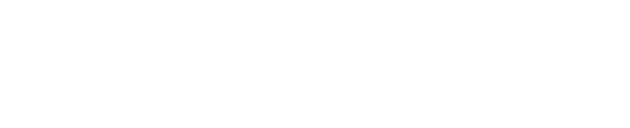 Pulsar 150 neon logo