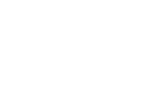 torito_500x300 torito_500x300